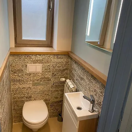 Visaj Deluxe Downtown Lägenhetshotell Timişoara