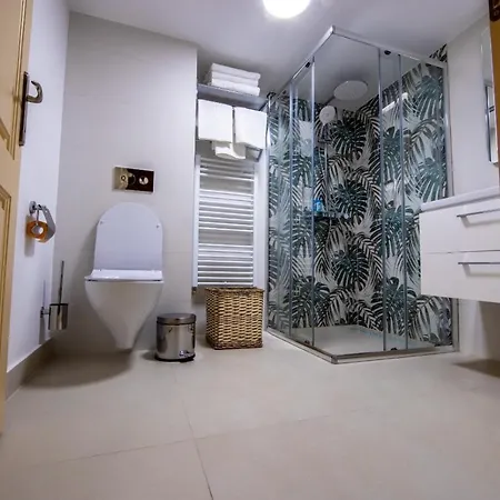 Visaj Deluxe Downtown 3*