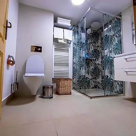 Visaj Deluxe Downtown 3* Timişoara