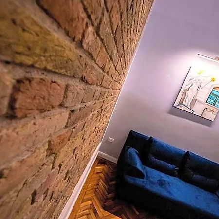 Visaj Deluxe Downtown Appart hôtel Timişoara