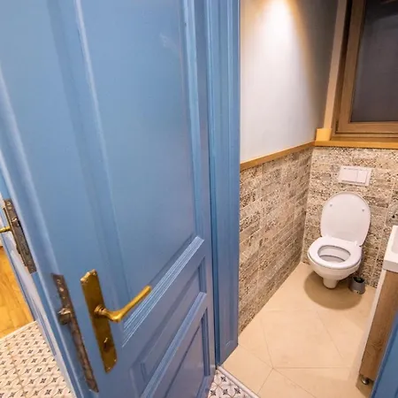 Aparthotel Visaj Deluxe Downtown Timisoara