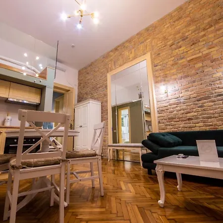 Visaj Deluxe Downtown מלון דירות טימישוארה