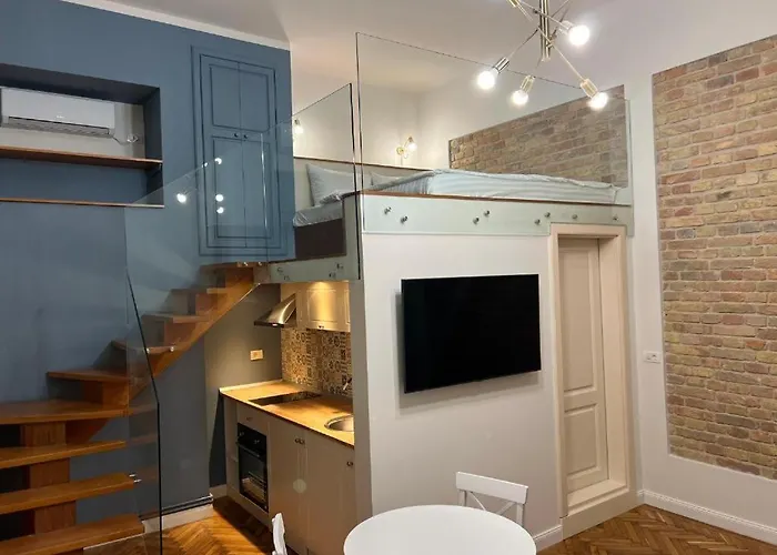 Visaj Deluxe Downtown 3* Timisoara